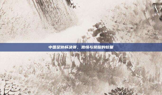 中国足协杯决赛，激情与荣耀的较量