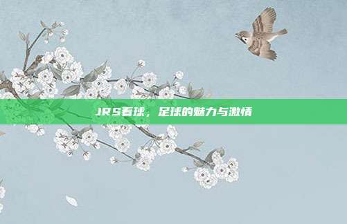 JRS看球，足球的魅力与激情