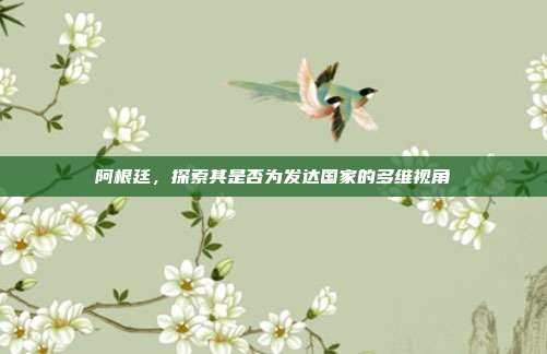 阿根廷，探索其是否为发达国家的多维视角