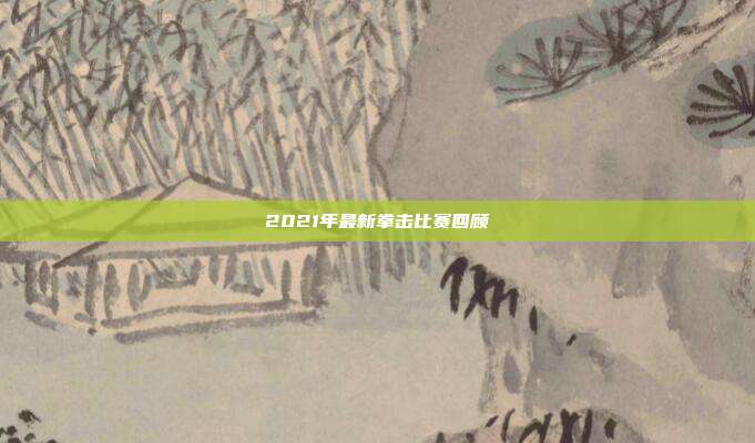 2021年最新拳击比赛回顾