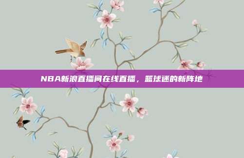 NBA新浪直播间在线直播,篮球迷的新阵地