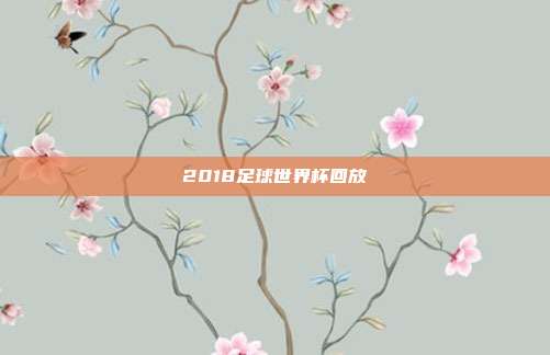 2018足球世界杯回放
