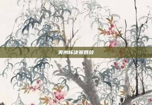 美洲杯决赛回放