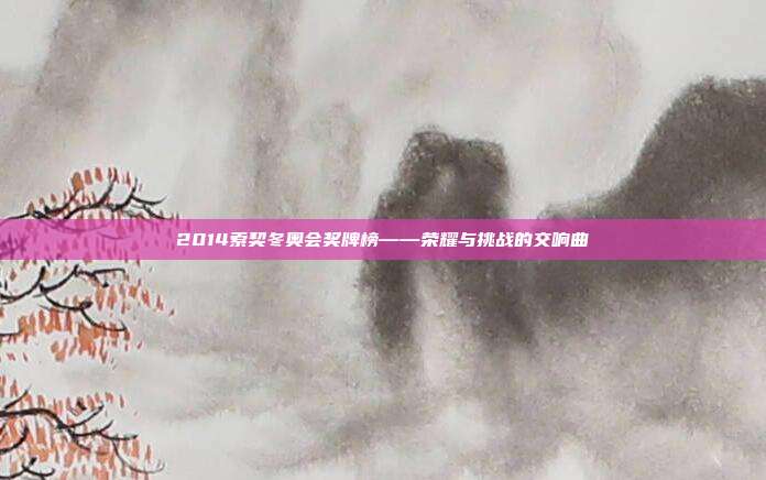 2014索契冬奥会奖牌榜——荣耀与挑战的交响曲