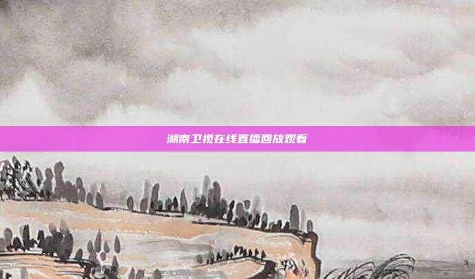 湖南卫视在线直播回放观看
