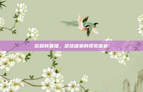 欧超杯直播,足球盛宴的视觉盛宴