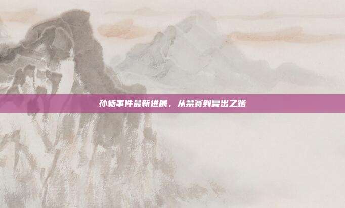 孙杨事件最新进展,从禁赛到复出之路