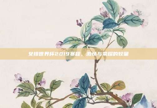 女排世界杯2019赛程,激情与荣耀的较量