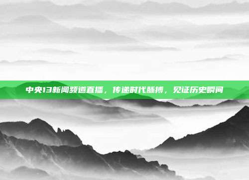 中央13新闻频道直播,传递时代脉搏,见证历史瞬间