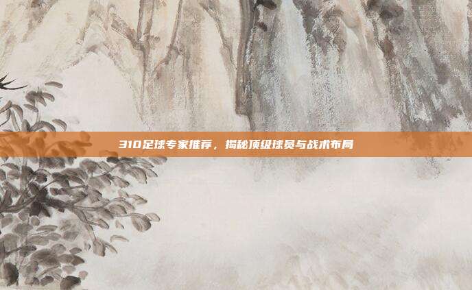 310足球专家推荐，揭秘顶级球员与战术布局