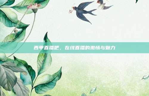 西甲直播吧,在线直播的激情与魅力