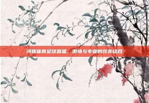 河豚体育足球直播,激情与专业的完美结合