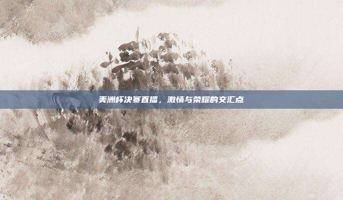 美洲杯决赛直播，激情与荣耀的交汇点