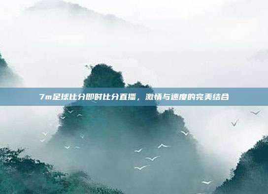 7m足球比分即时比分直播,激情与速度的完美结合