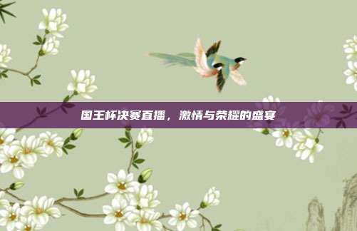 国王杯决赛直播，激情与荣耀的盛宴