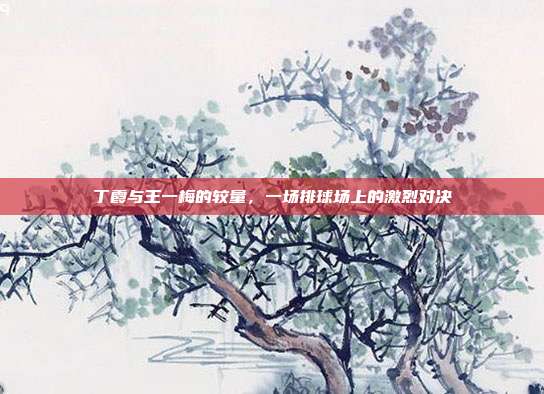 丁霞与王一梅的较量,一场排球场上的激烈对决