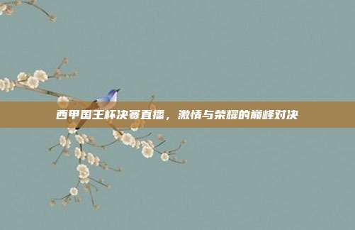 西甲国王杯决赛直播，激情与荣耀的巅峰对决