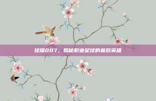 球探007,揭秘职业足球的幕后英雄