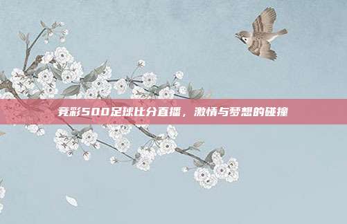 竞彩500足球比分直播,激情与梦想的碰撞