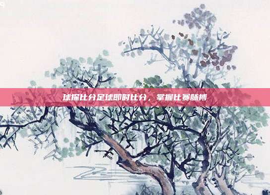 球探比分足球即时比分,掌握比赛脉搏