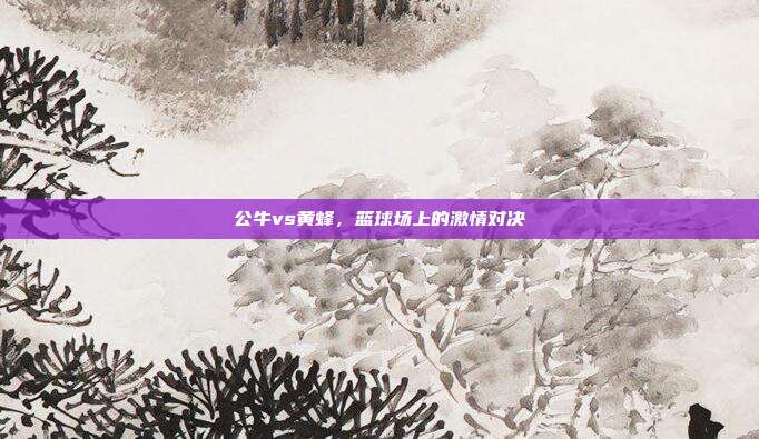 公牛vs黄蜂,篮球场上的激情对决
