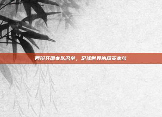 西班牙国家队名单,足球世界的精英集结