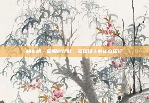 勒布朗·詹姆斯球鞋,篮球场上的传奇印记