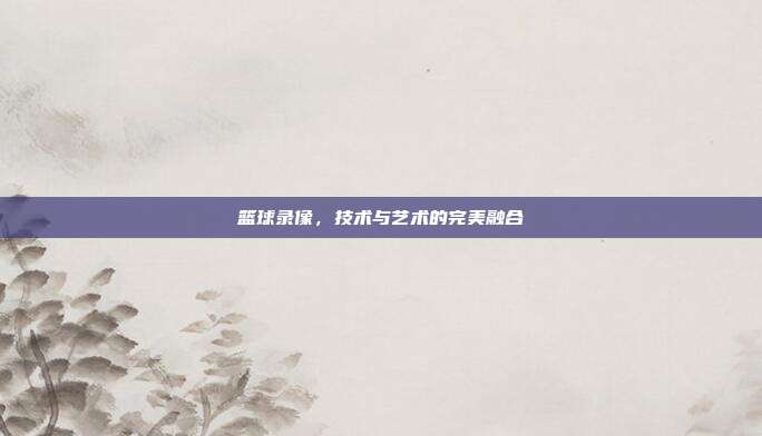 篮球录像，技术与艺术的完美融合