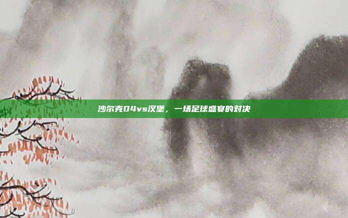 沙尔克04vs汉堡,一场足球盛宴的对决