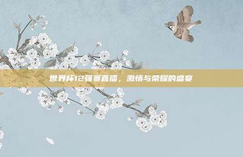 世界杯12强赛直播,激情与荣耀的盛宴