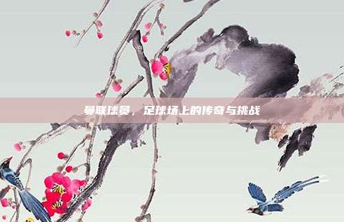 曼联球员，足球场上的传奇与挑战
