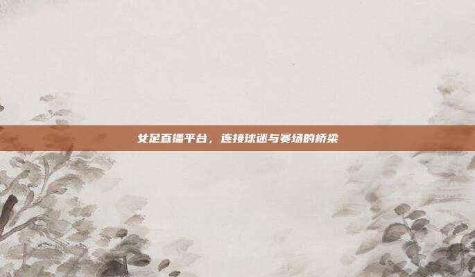 女足直播平台,连接球迷与赛场的桥梁