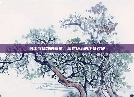 勇士与猛龙的较量,篮球场上的传奇对决