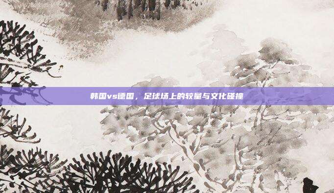 韩国vs德国，足球场上的较量与文化碰撞