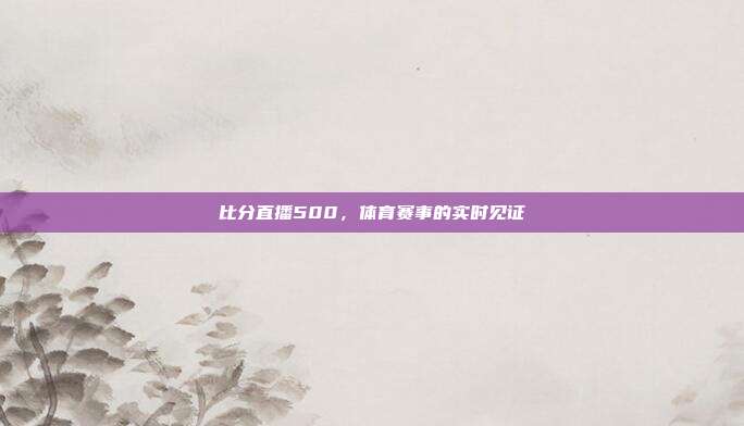比分直播500，体育赛事的实时见证