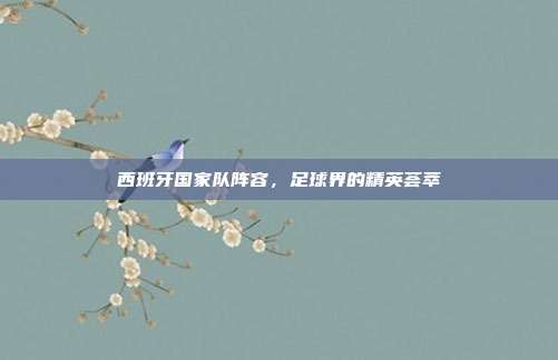 西班牙国家队阵容，足球界的精英荟萃