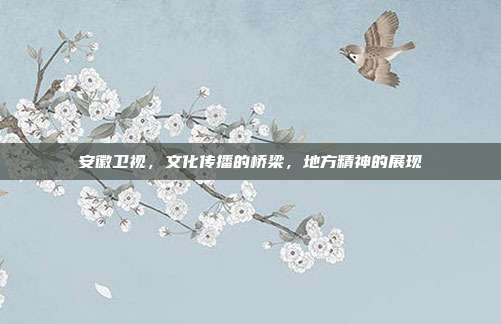 安徽卫视，文化传播的桥梁，地方精神的展现