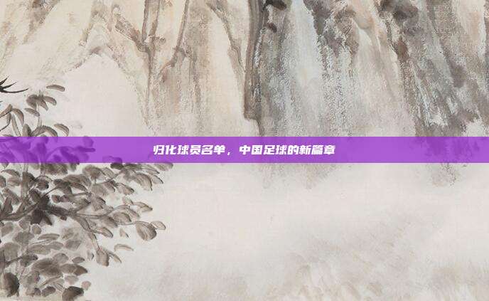 归化球员名单，中国足球的新篇章
