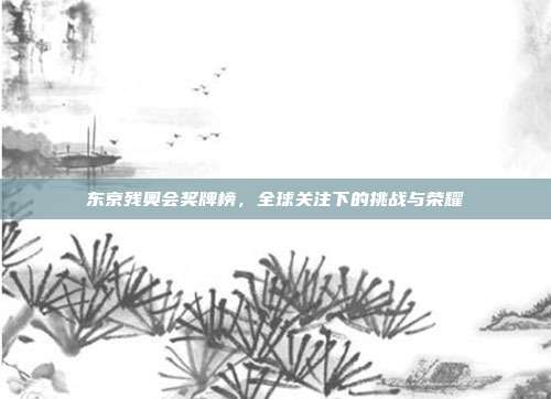 东京残奥会奖牌榜，全球关注下的挑战与荣耀