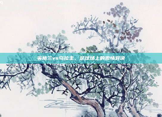 英格兰vs乌拉圭,足球场上的激情对决