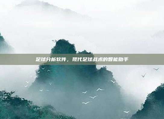 足球分析软件，现代足球战术的智能助手