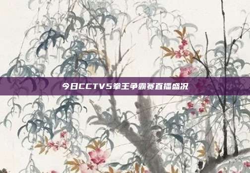 今日CCTV5拳王争霸赛直播盛况