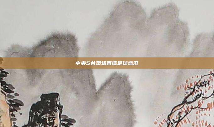 中央5台现场直播足球盛况