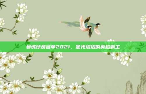 曼城球员名单2021,星光熠熠的英超霸主