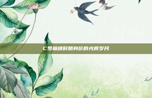 C罗巅峰时期身价的光辉岁月