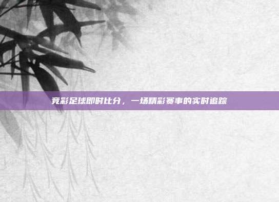 竞彩足球即时比分，一场精彩赛事的实时追踪