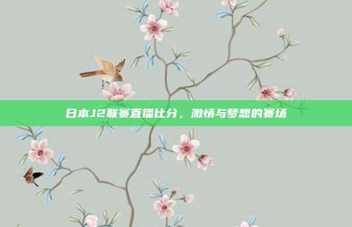 日本J2联赛直播比分，激情与梦想的赛场