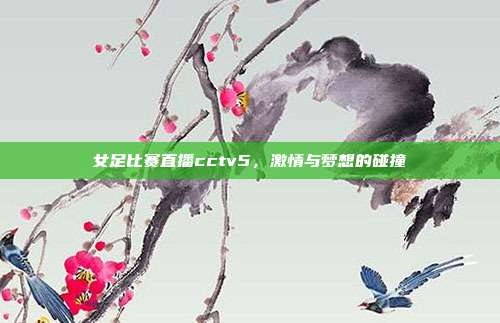 女足比赛直播cctv5,激情与梦想的碰撞