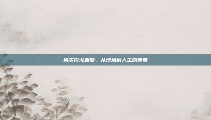 埃尔南戈麦斯，从球场到人生的传奇