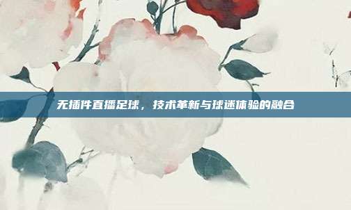 无插件直播足球,技术革新与球迷体验的融合